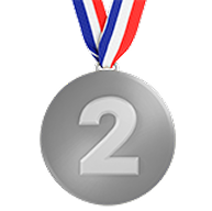 نشان تیم دوم - مدال نقره